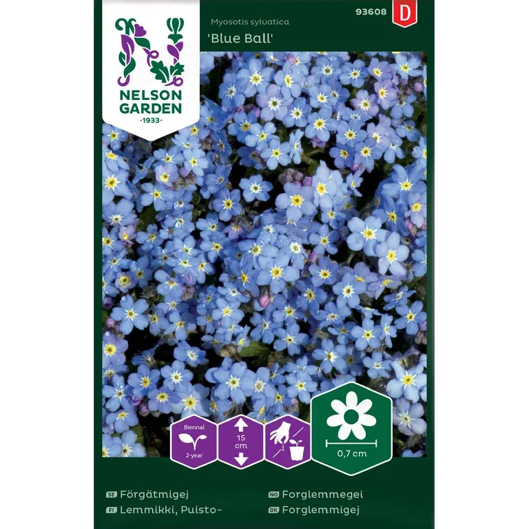 Forglemmegei 'Blue Ball'