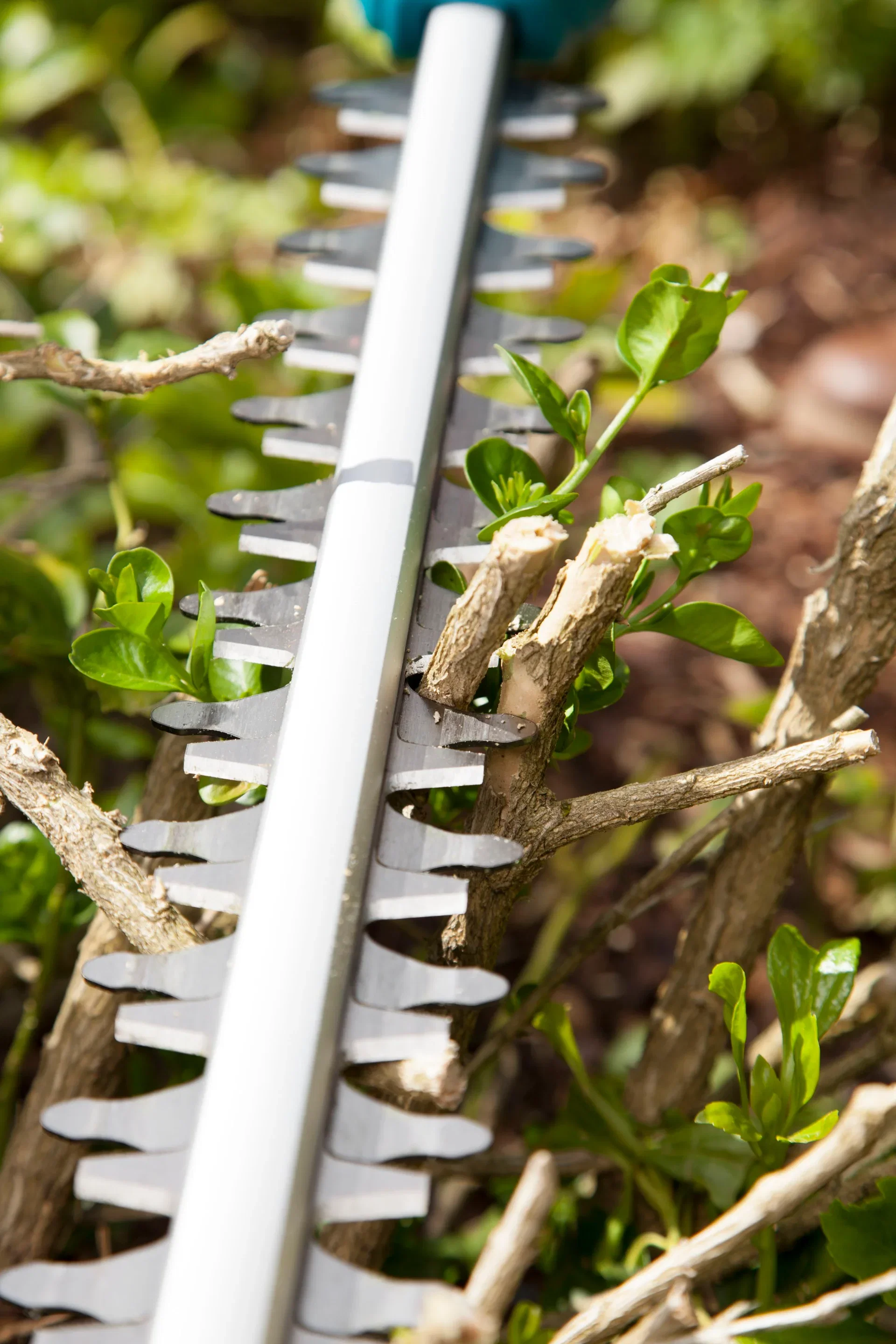 Hekketrimmer teleskop