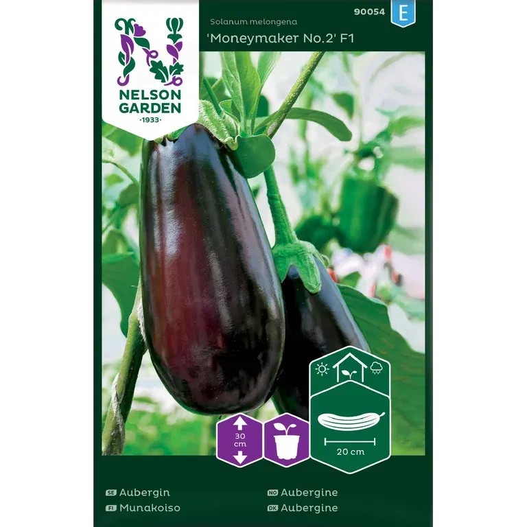 Aubergine 'Moneymaker No.2' F1