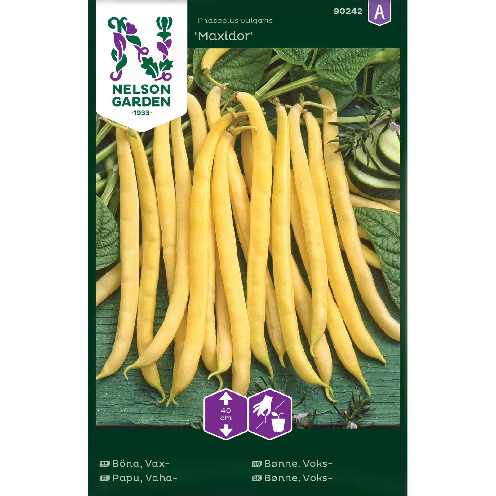 Voksbønne 'Maxidor'
