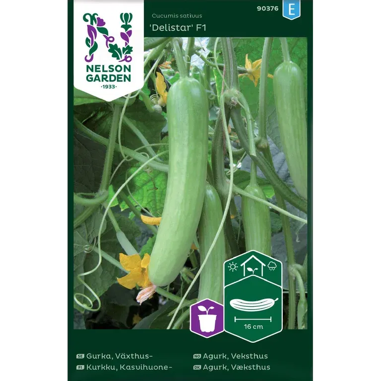 Veksthusagurk 'Delistar'