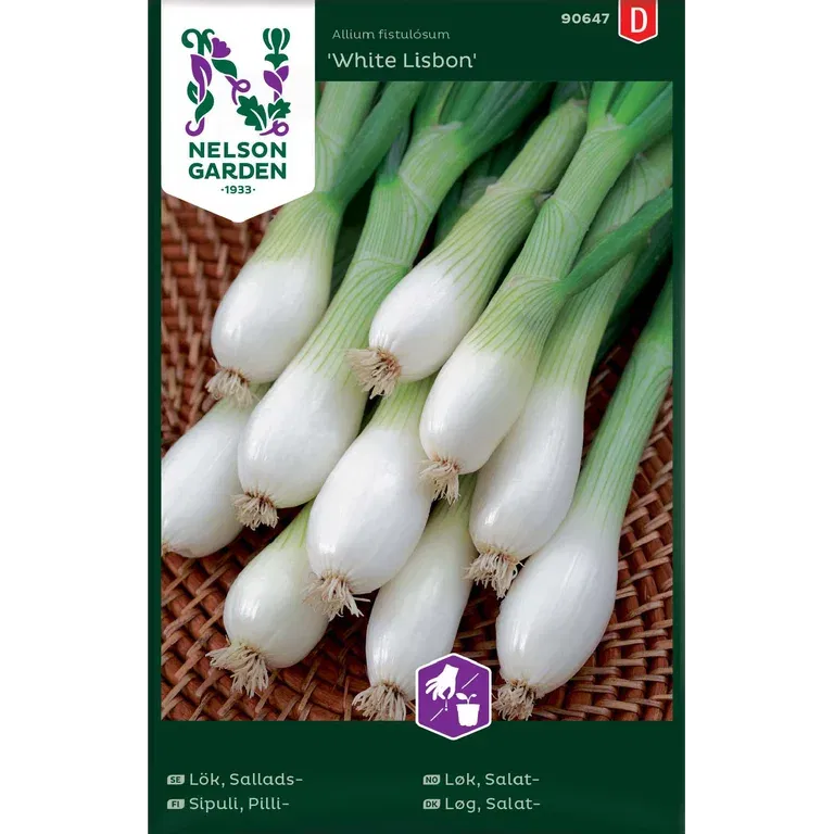 Salatløk 'White Lisbon'