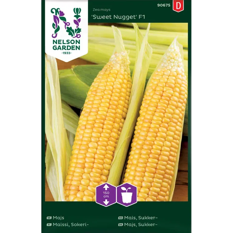 Sukkermais 'Sweet Nugget'