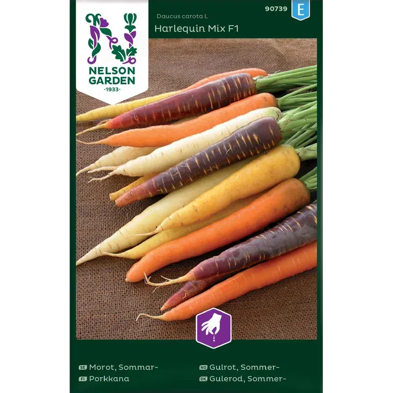 Sommergulrot 'Harlequin Mix'