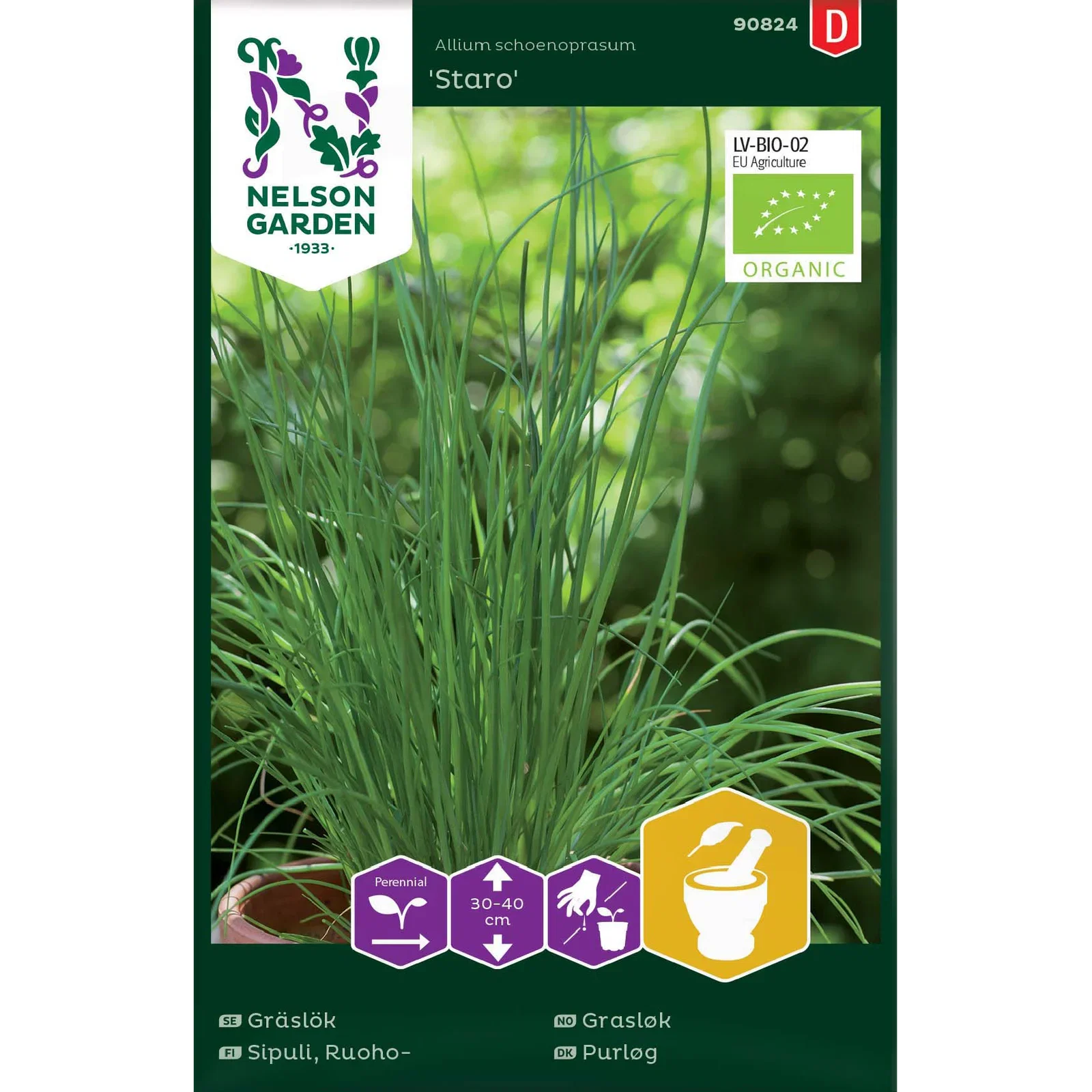 Gressløk 'Staro'