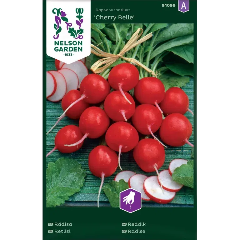 Månedsreddik 'Cherry Belle'