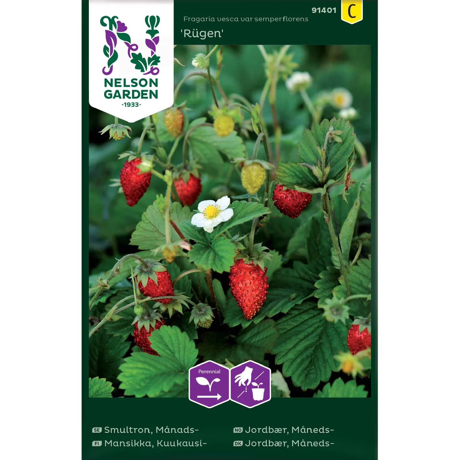 Månedsjordbær 'Rügen'