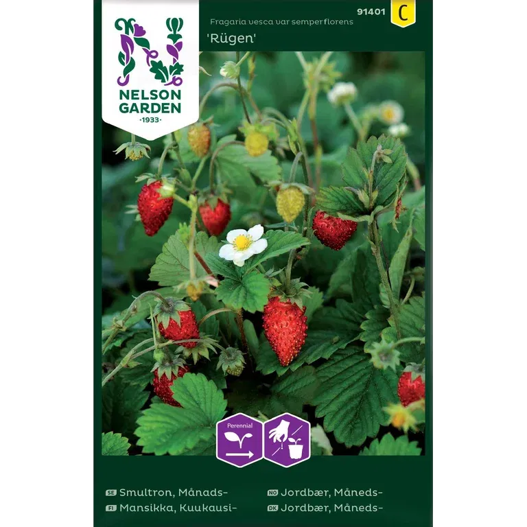 Månedsjordbær 'Rügen'