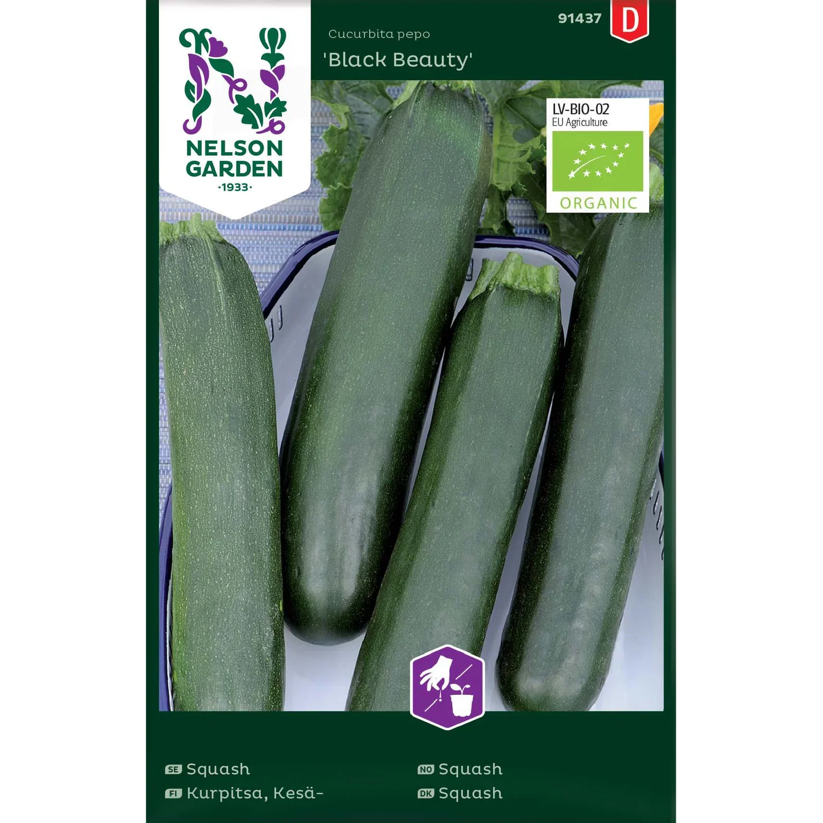 Squash 'Black Beauty'