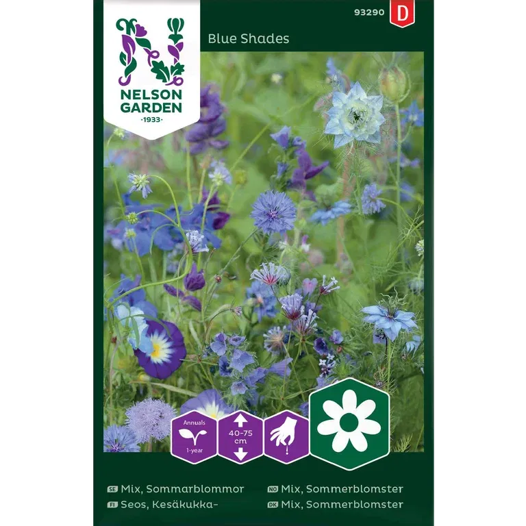 Sommerblomster 'Blue Shades'