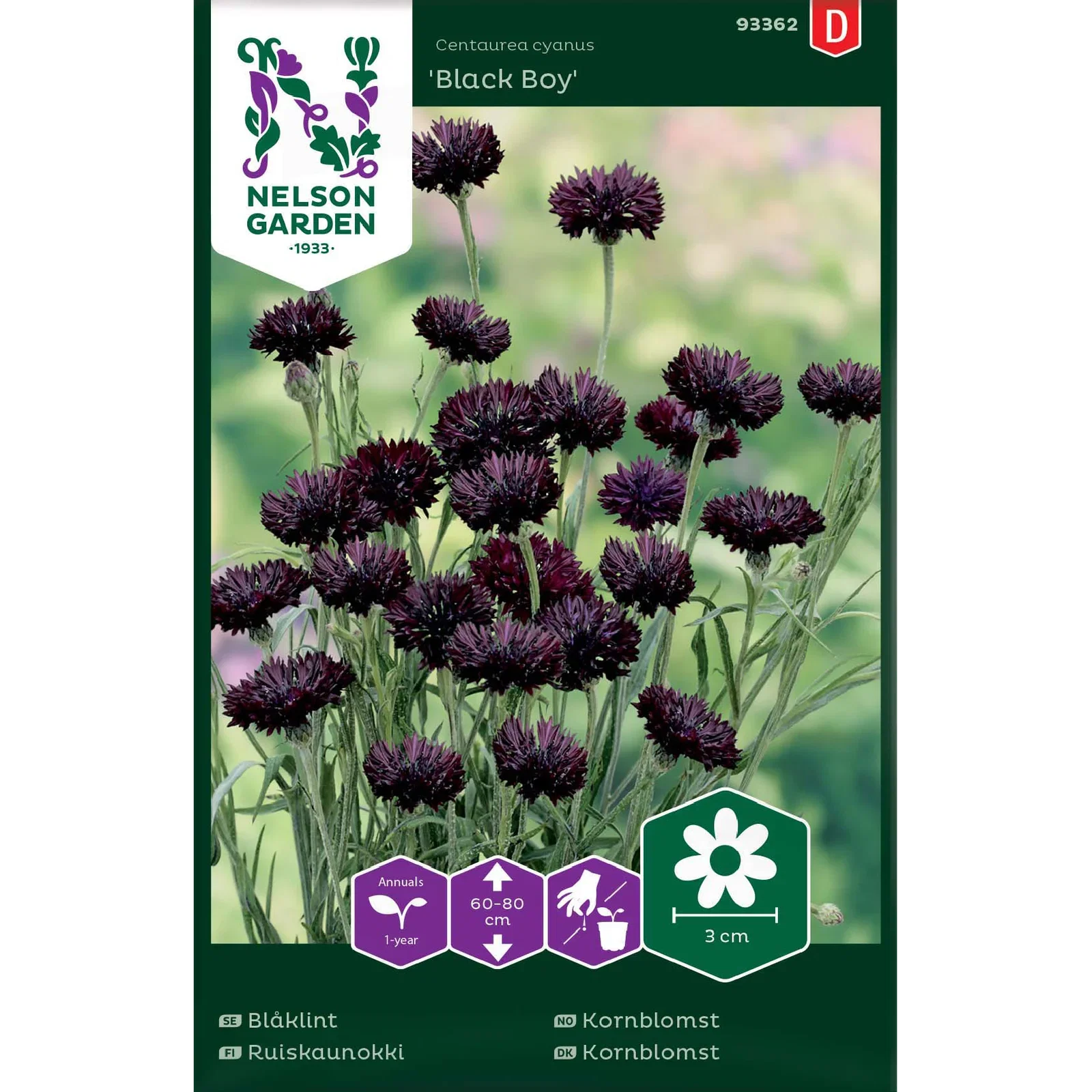 Kornblomst 'Black Boy'