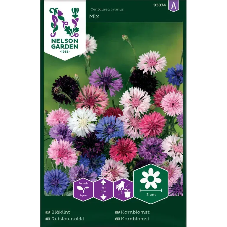 Kornblomst mix