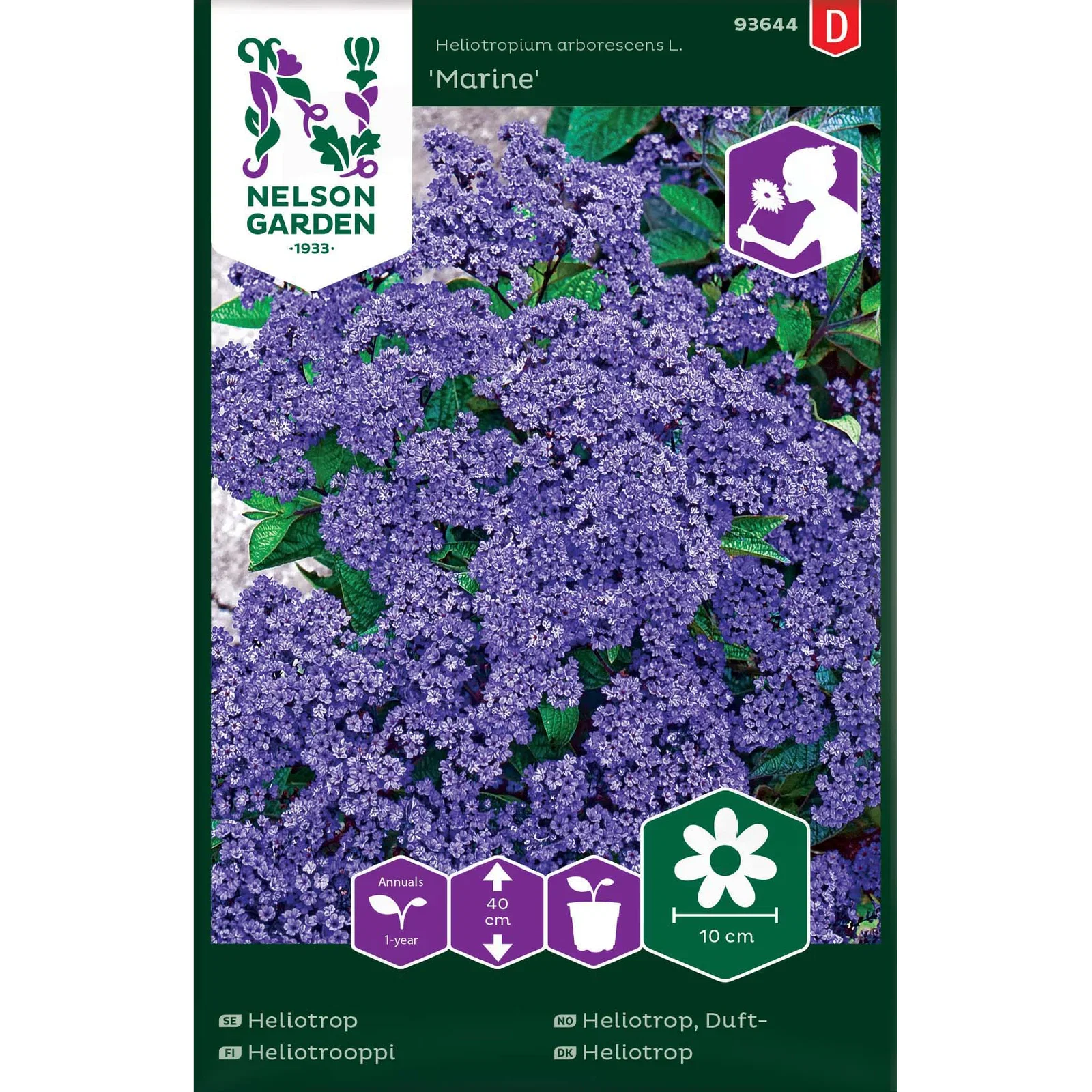 Dufteheliotrop 'Marine'