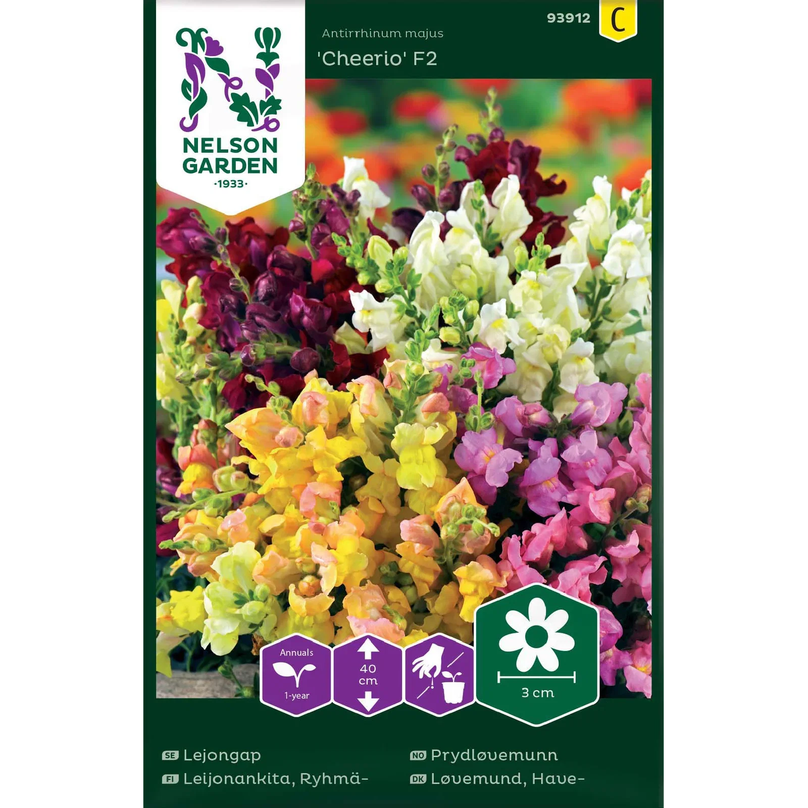 Prydløvemunn 'Cheerio' F2