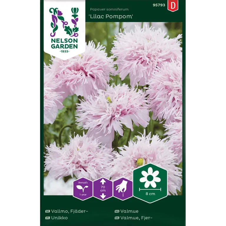 Valmue 'Lilac Pompom'