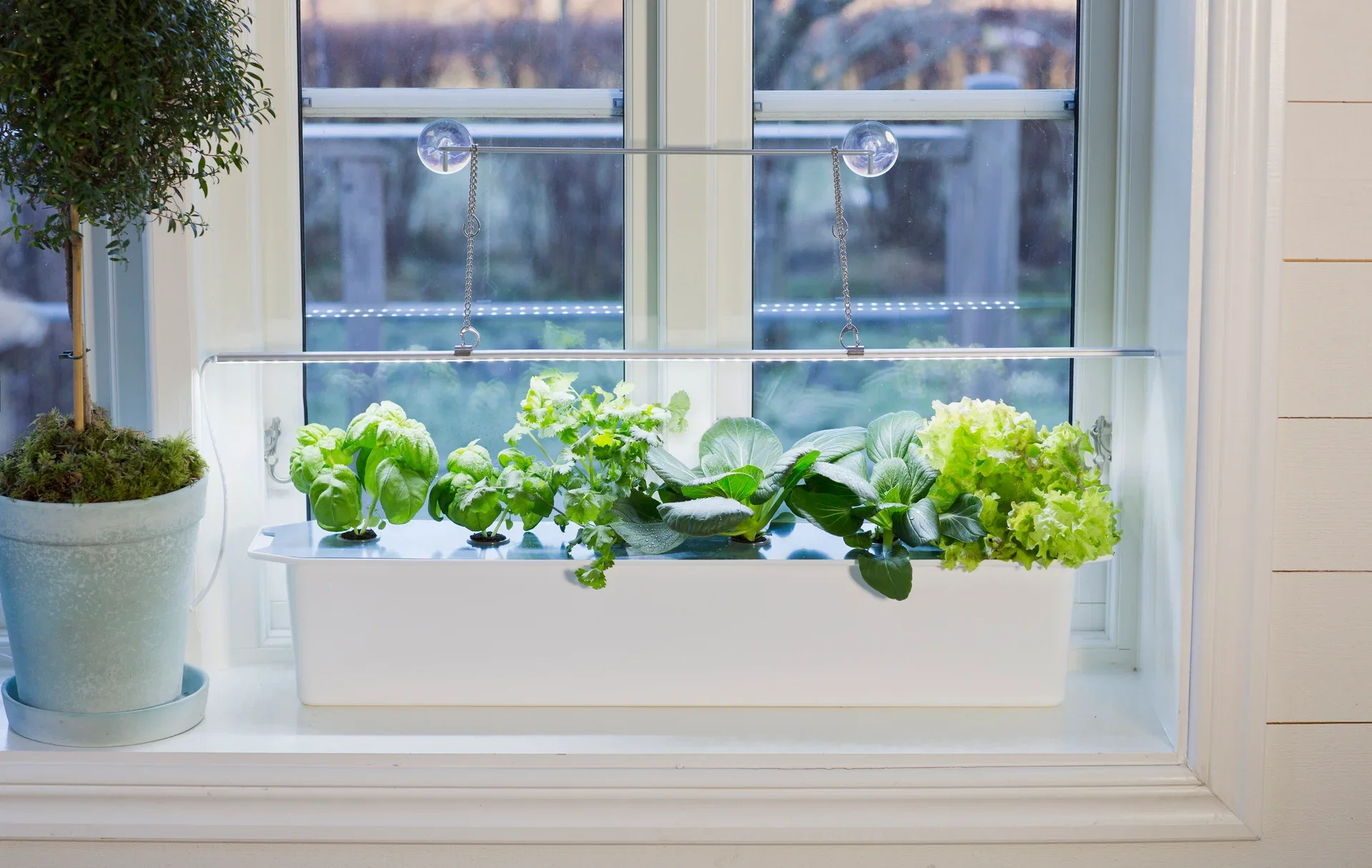 Plantelys LED No.1 85cm 23W med adapter