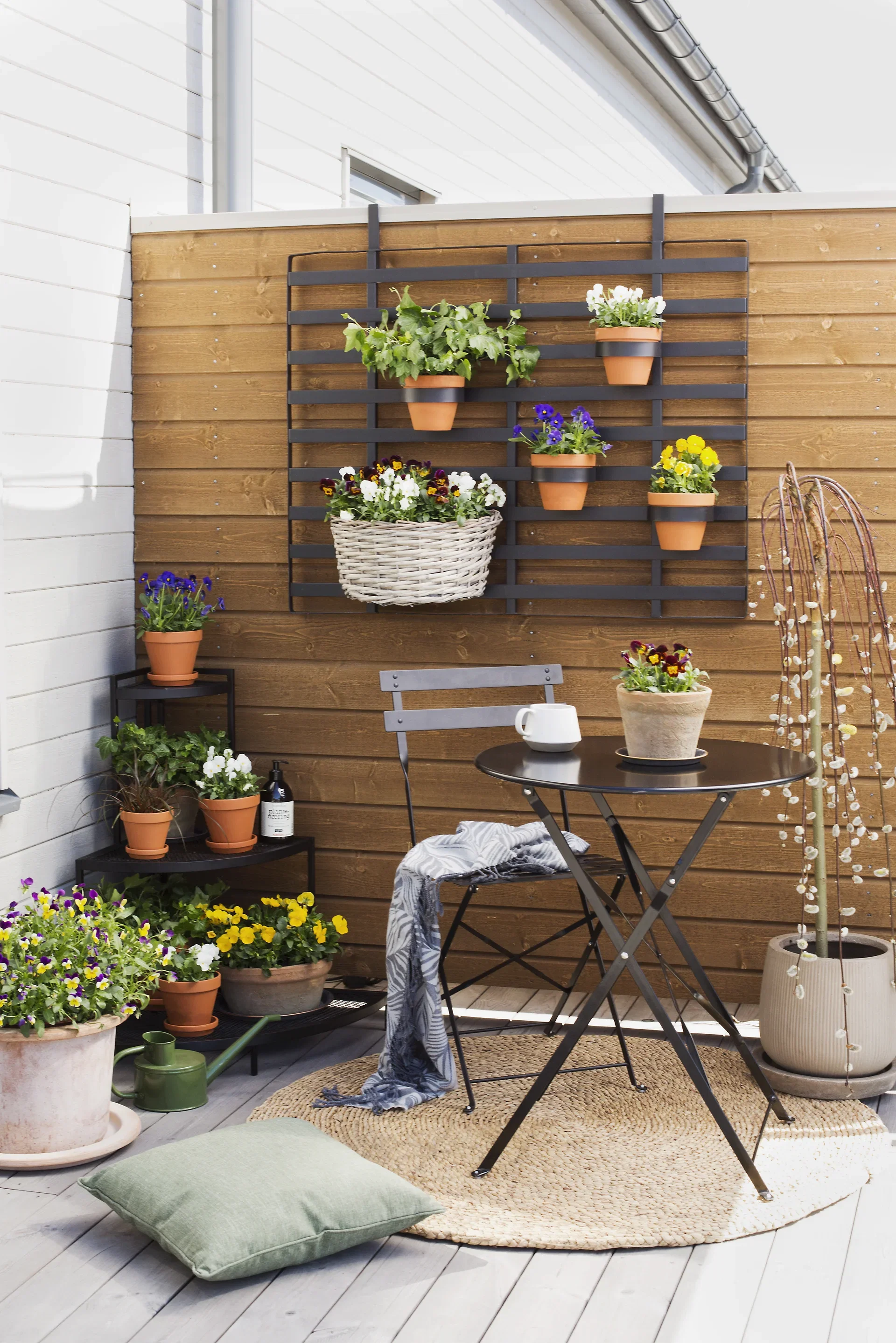 Stemor småblomstret