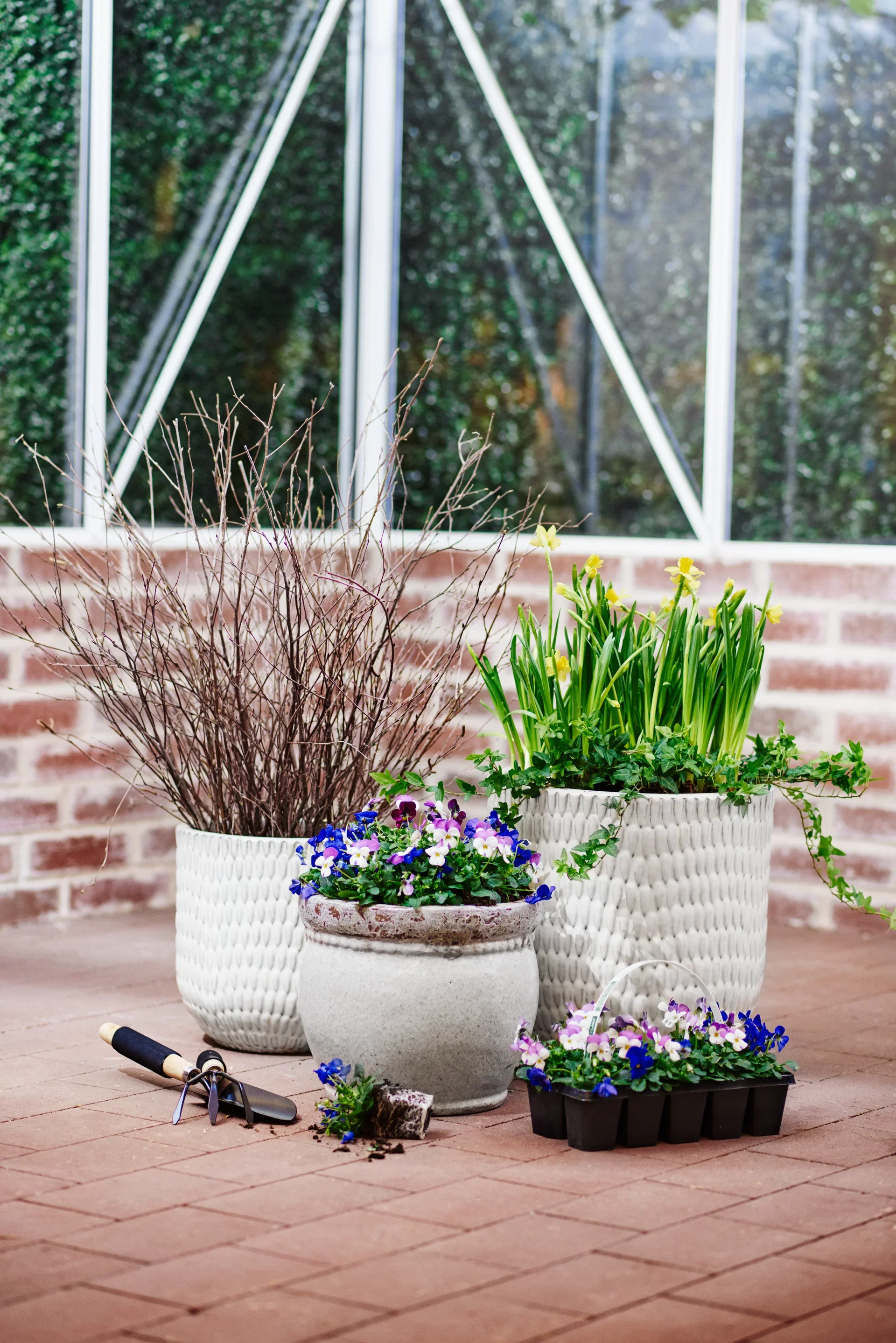 Stemor småblomstret