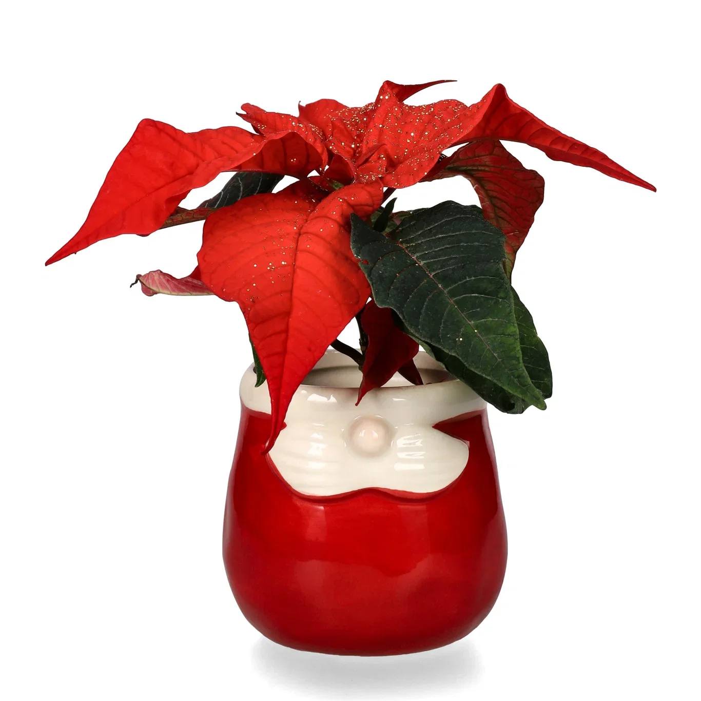 Julestjerne mini med glitter