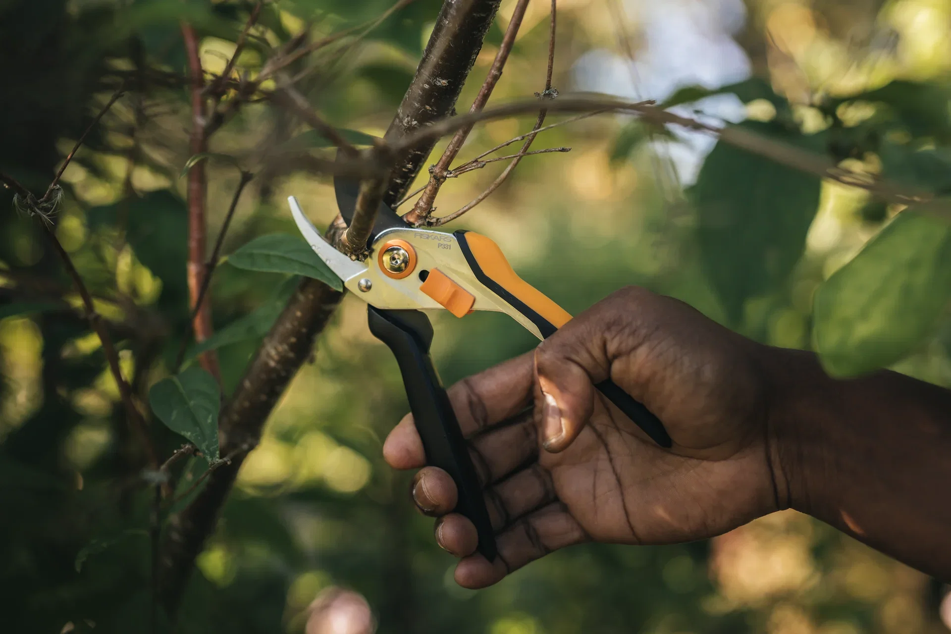 Beskjæringssaks Solid P331