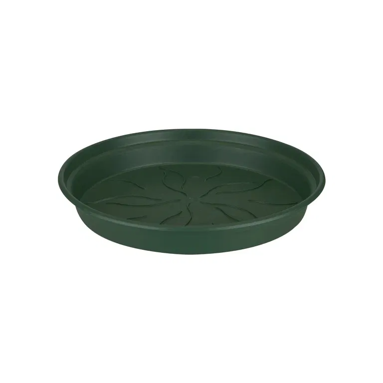 Fat Elho Green basics