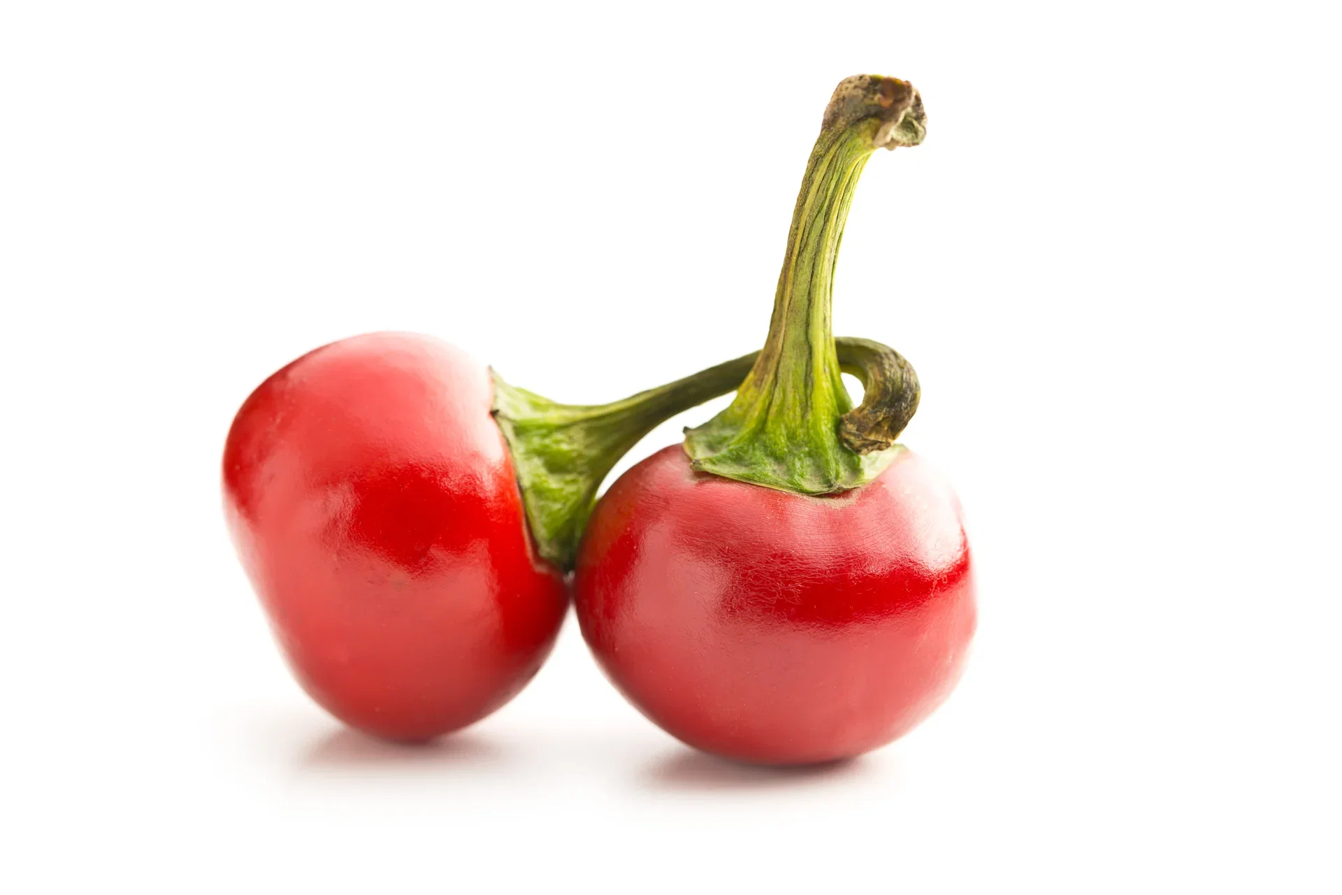 Chilipaprika 'Hungarian Round'