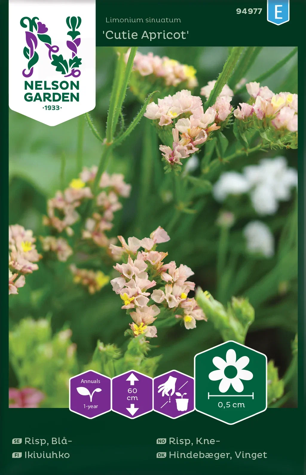 Knerisp 'Cutie Apricot'