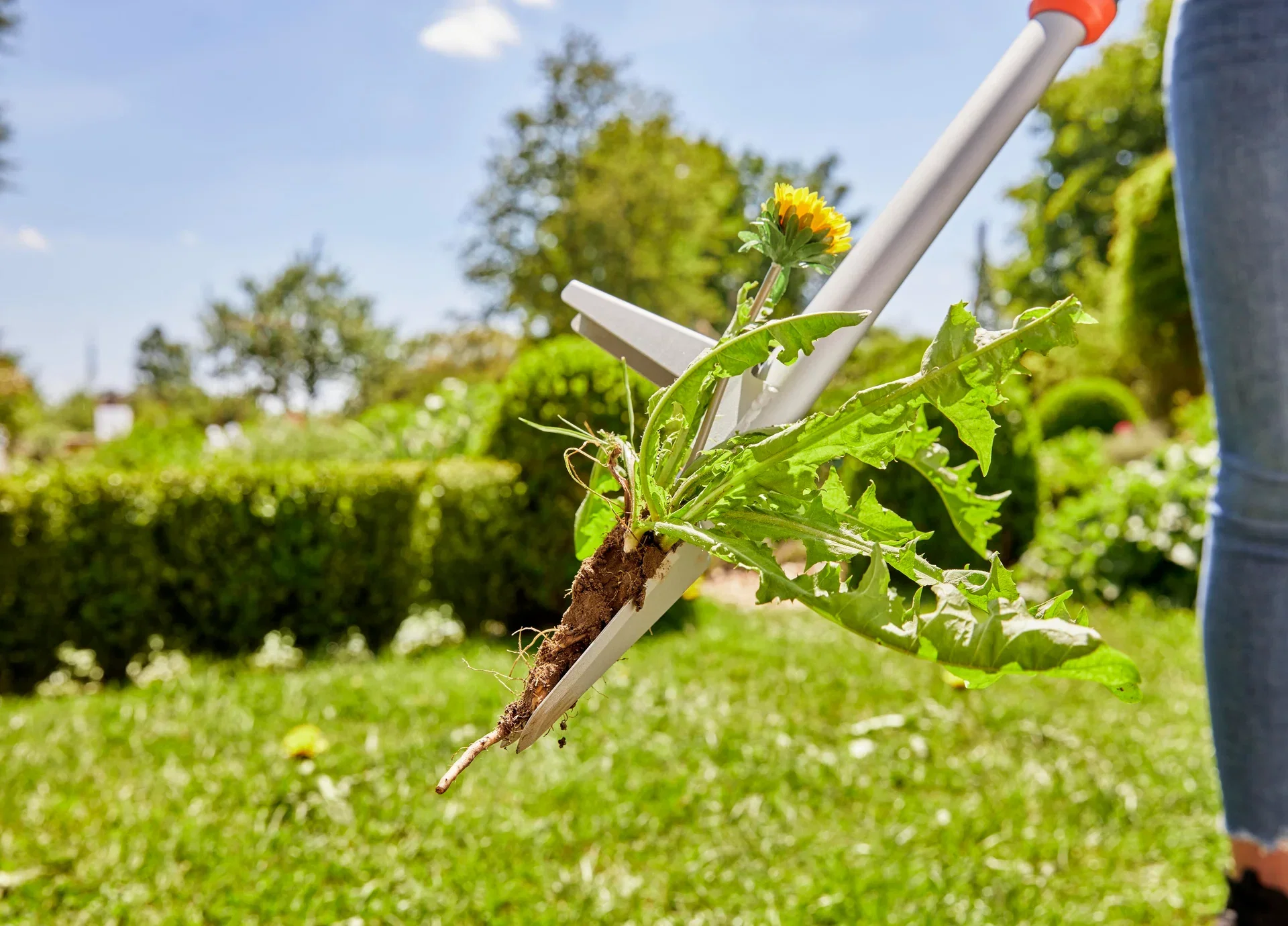 Ugressfjerner Gardena