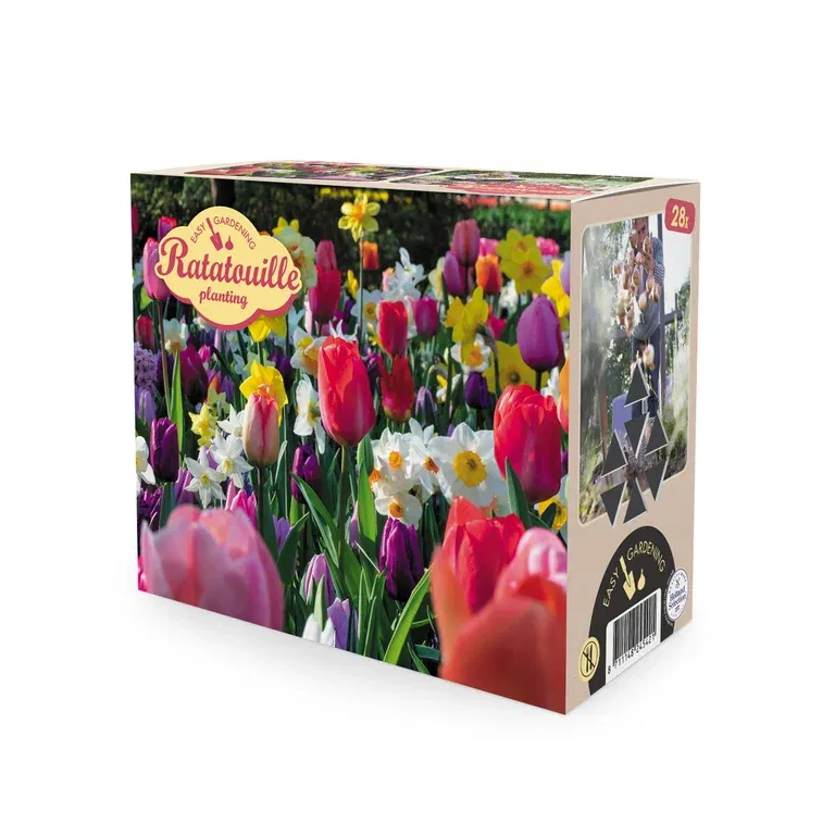 Vårblomstrende løkmiks Ratatouille