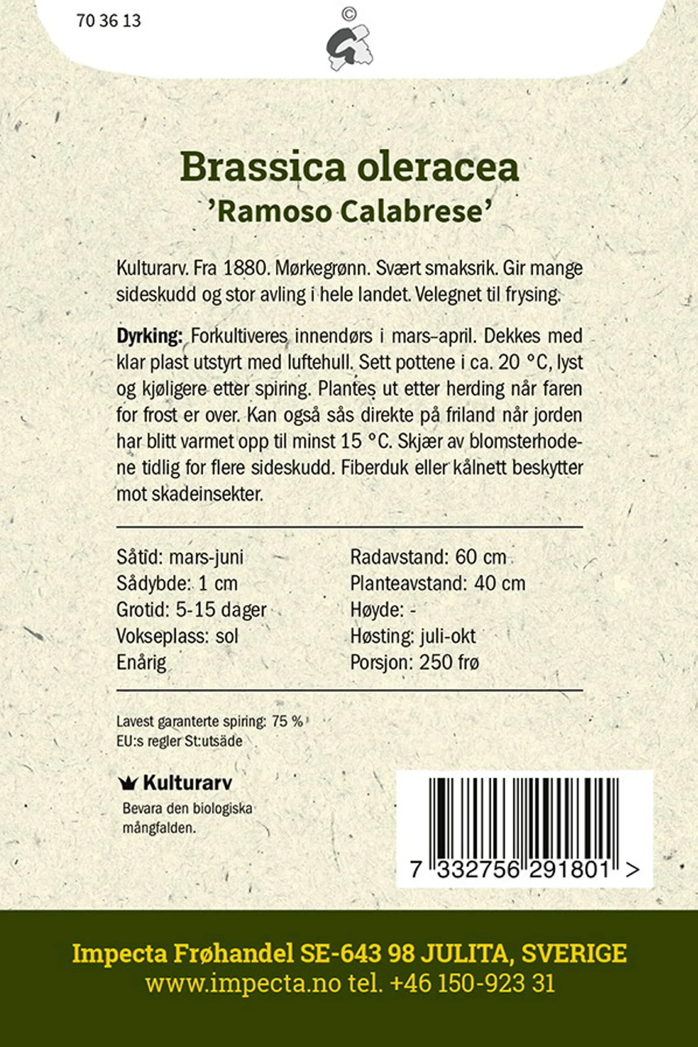 Brokkoli 'Ramoso Calabrese'