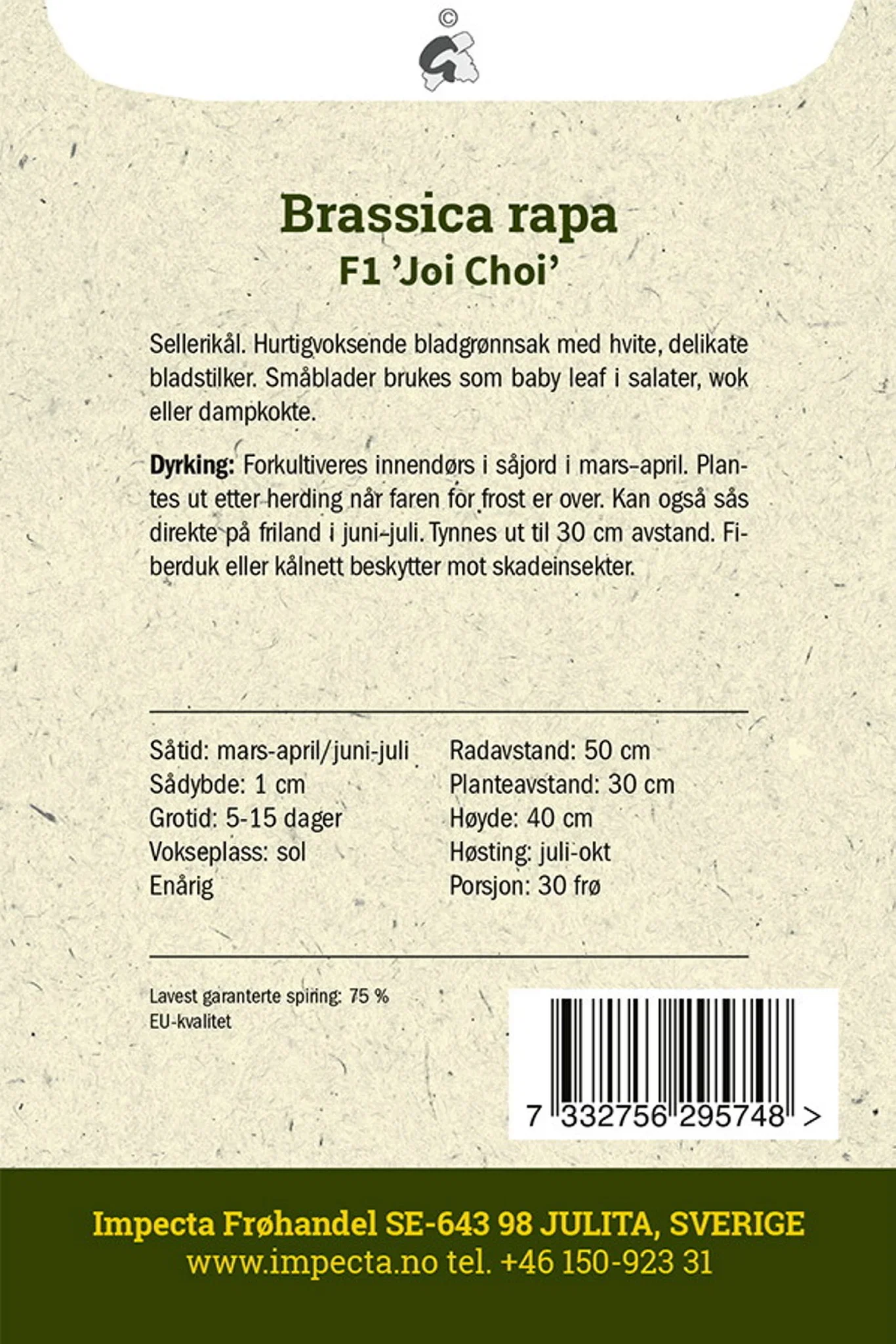 Pak Choi F1 'Joi Choi'