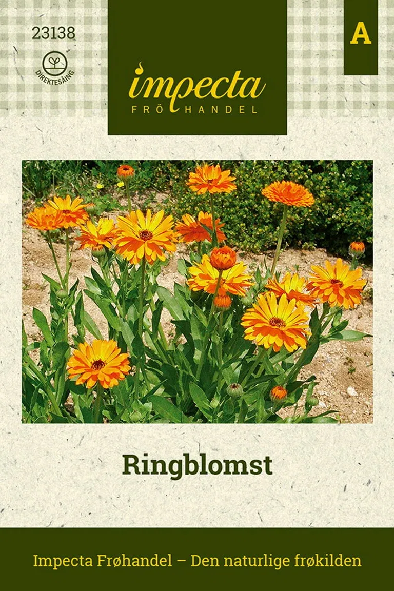 Ringblomst