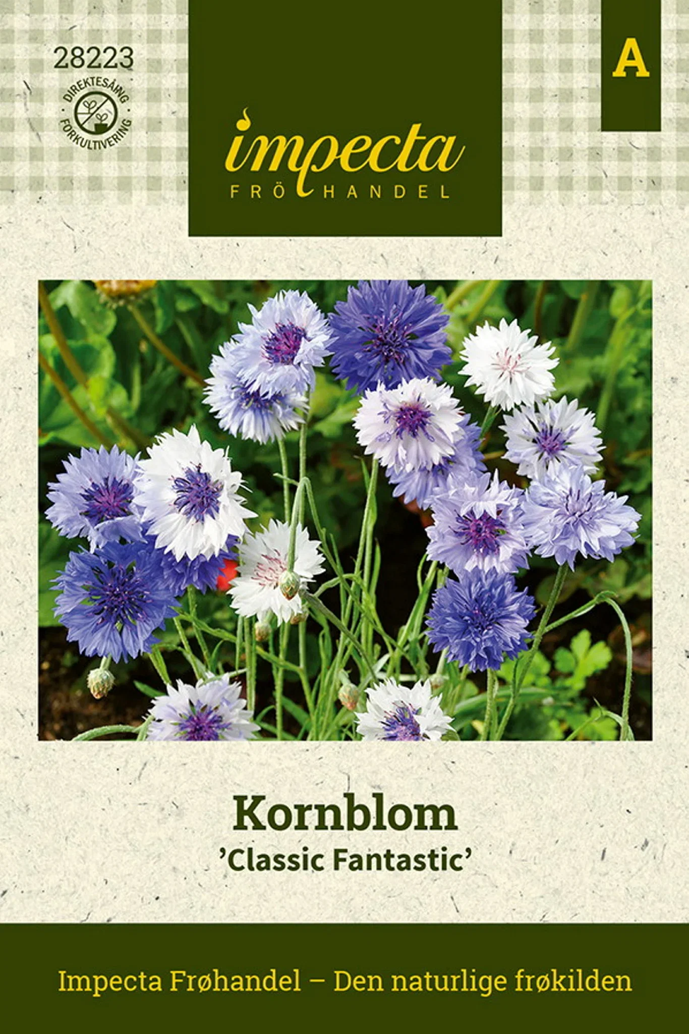 Kornblom 'Classic Fantastic'