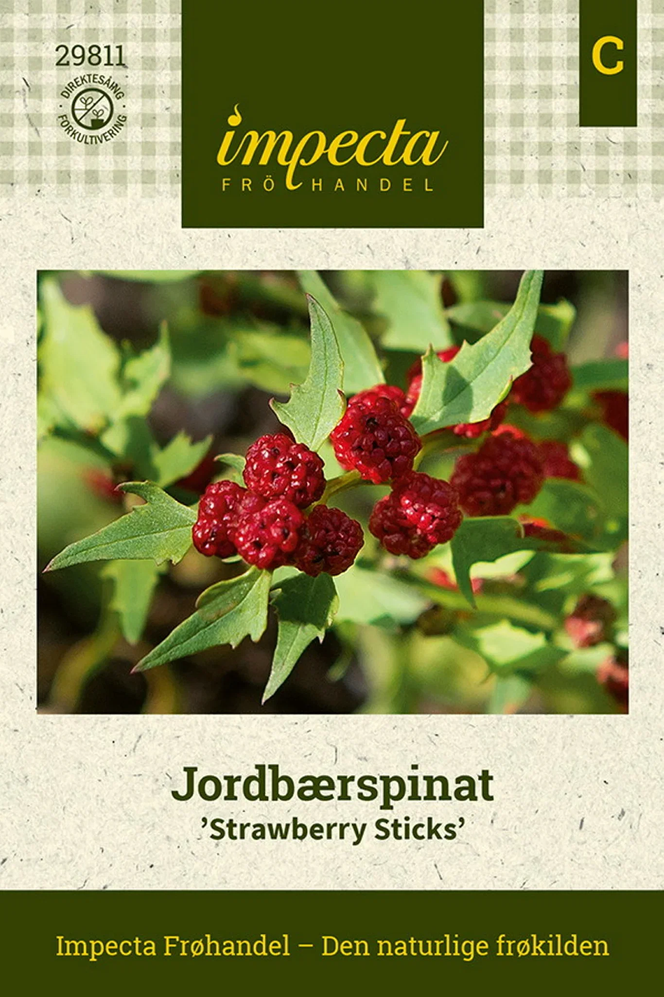 Jordbærspinat 'Strawberry Sticks'