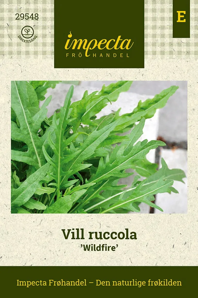 Vill ruccola 'Wildfire'