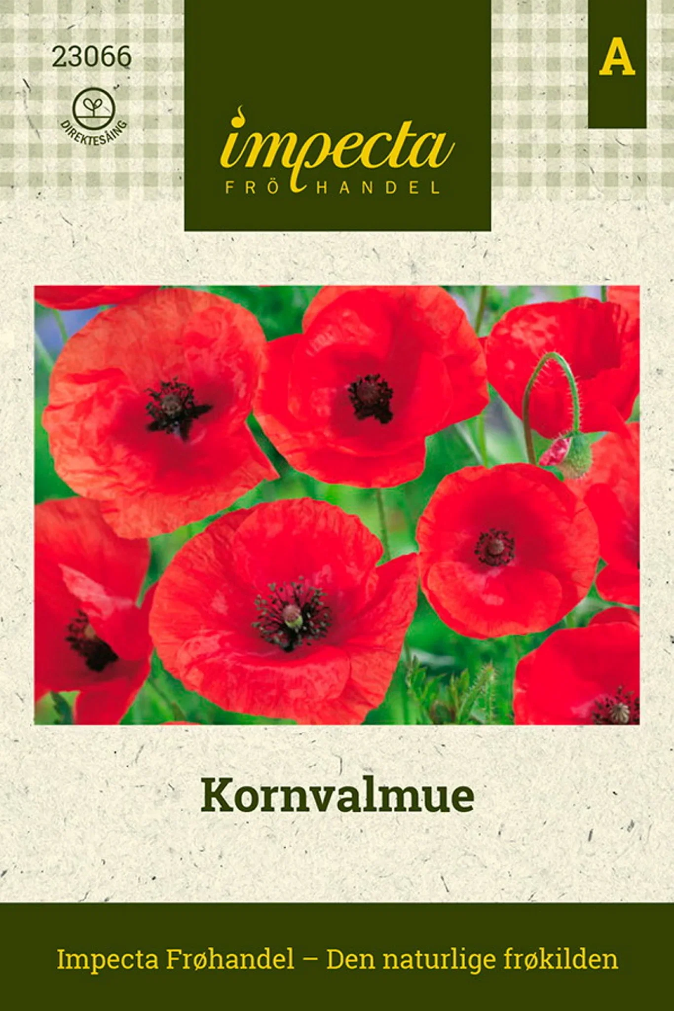 Kornvalmue