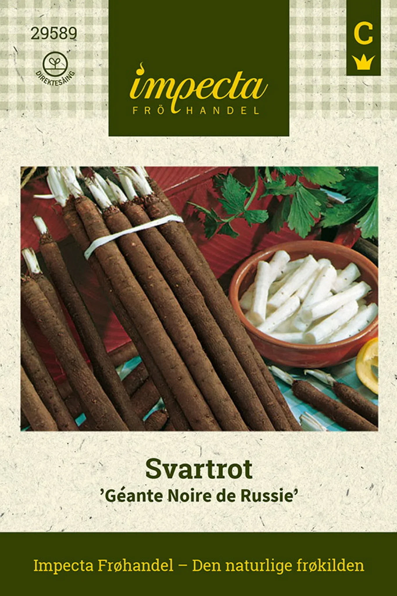 Svartrot 'Géante Noire de Russie'