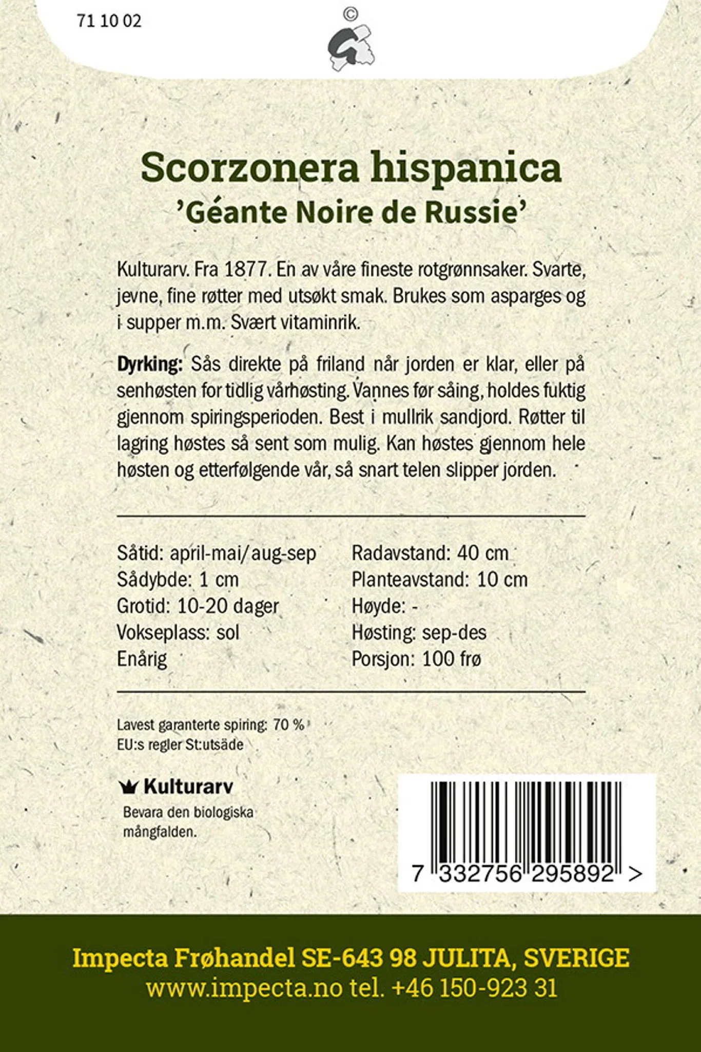 Svartrot 'Géante Noire de Russie'