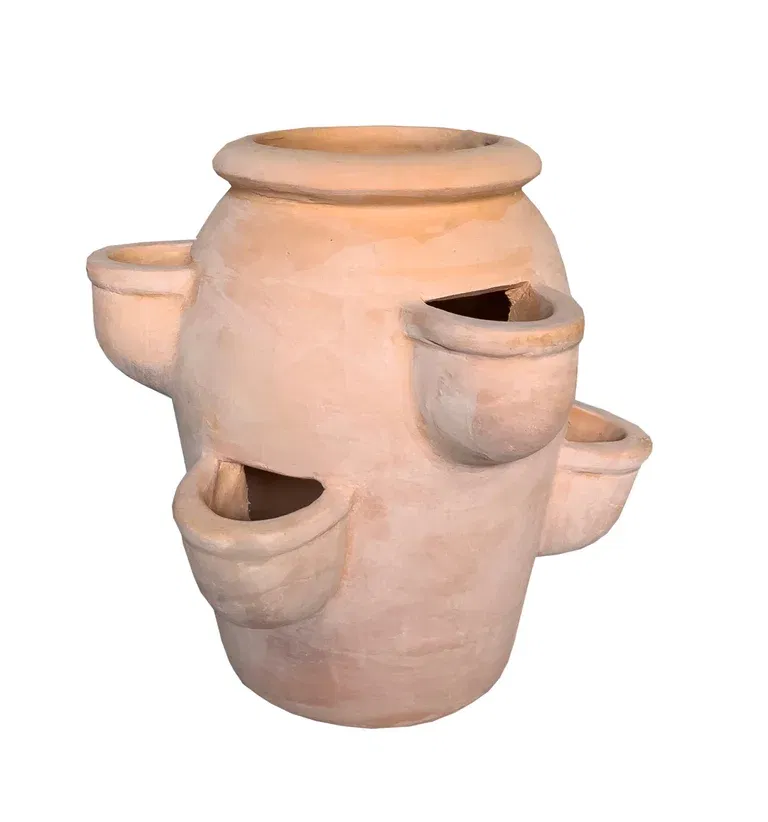 Jordbærpotte Gilbert