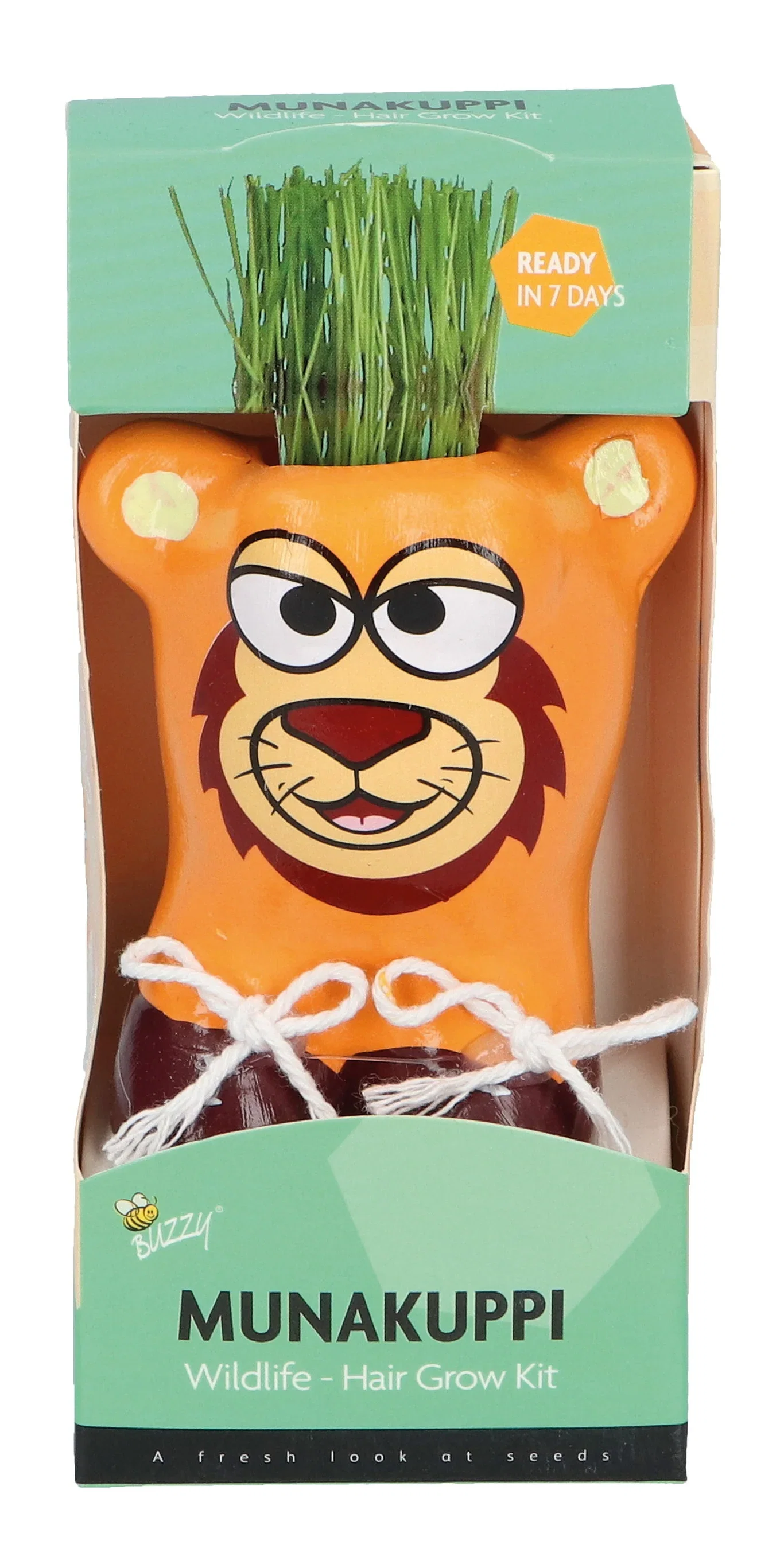 Liten potte med prydgress Munakuppi Løve