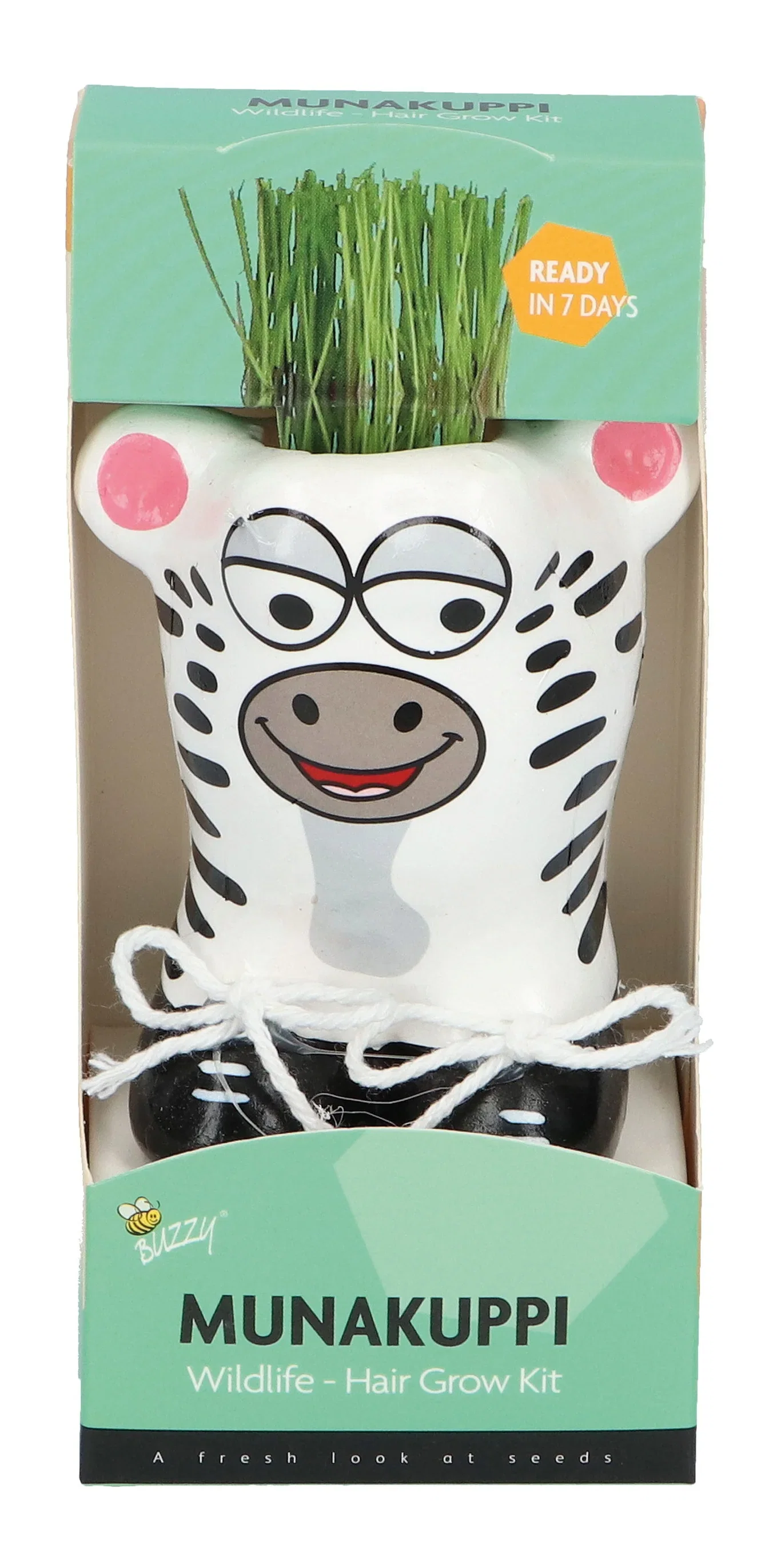 Liten potte med prydgress Munakuppi Sebra