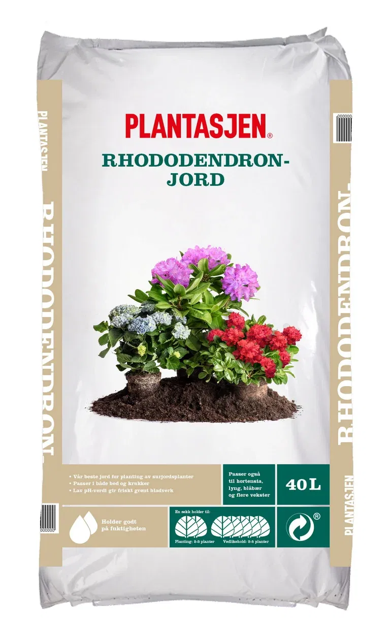 Rhododendronjord