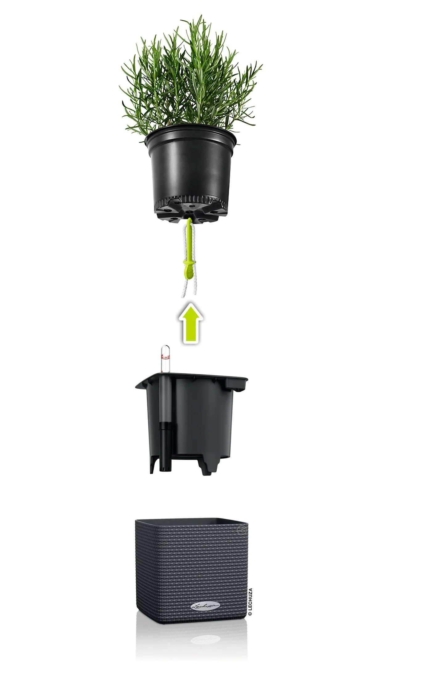 Selvvanningspotte Cube