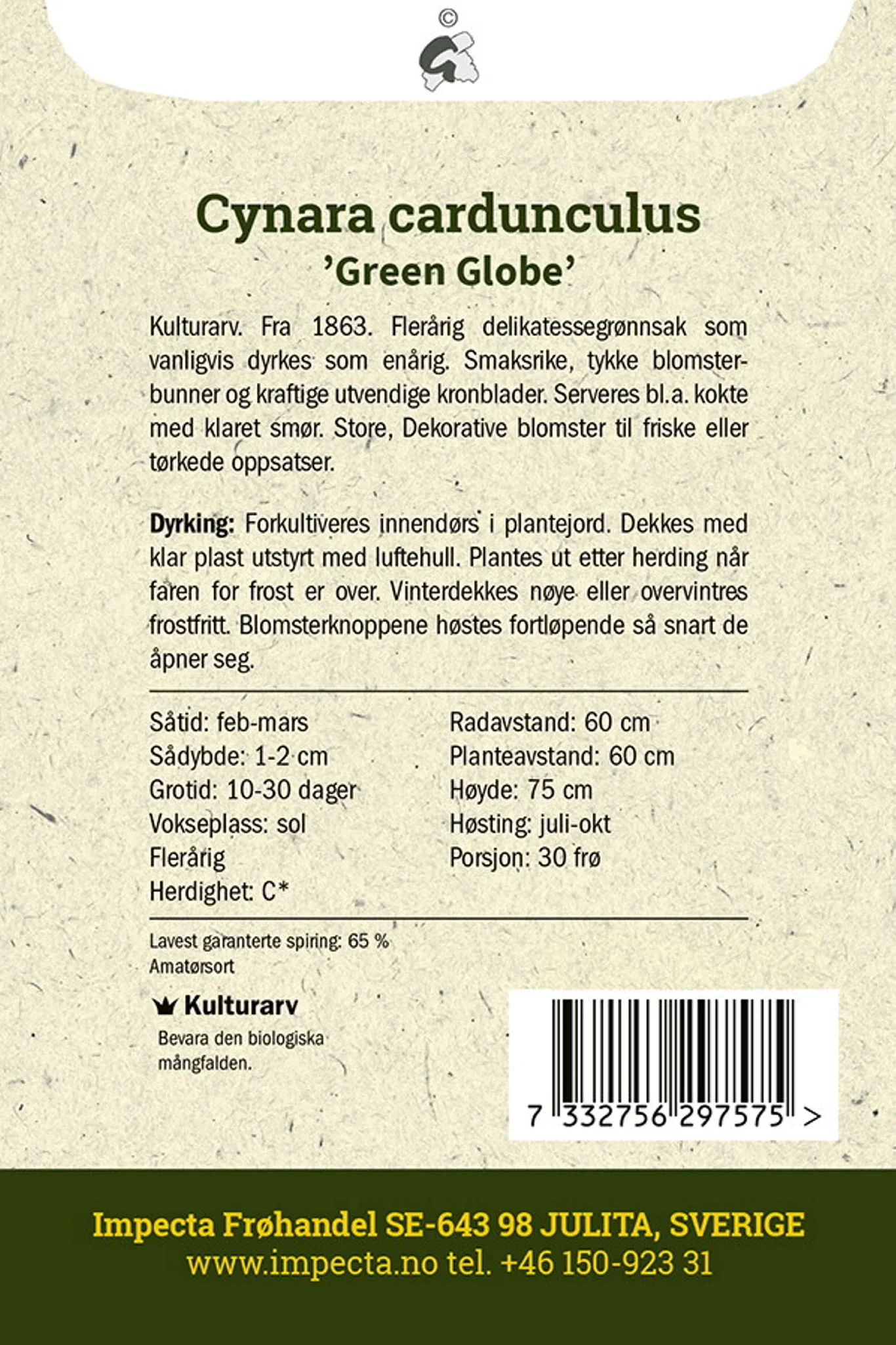Artisjokk 'Green Globe'