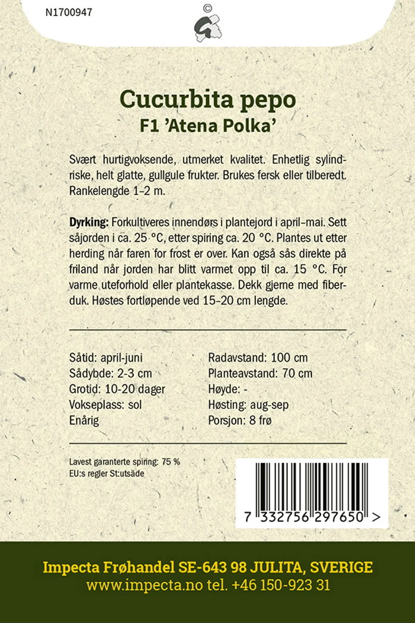 Squash F1 'Atena Polka'