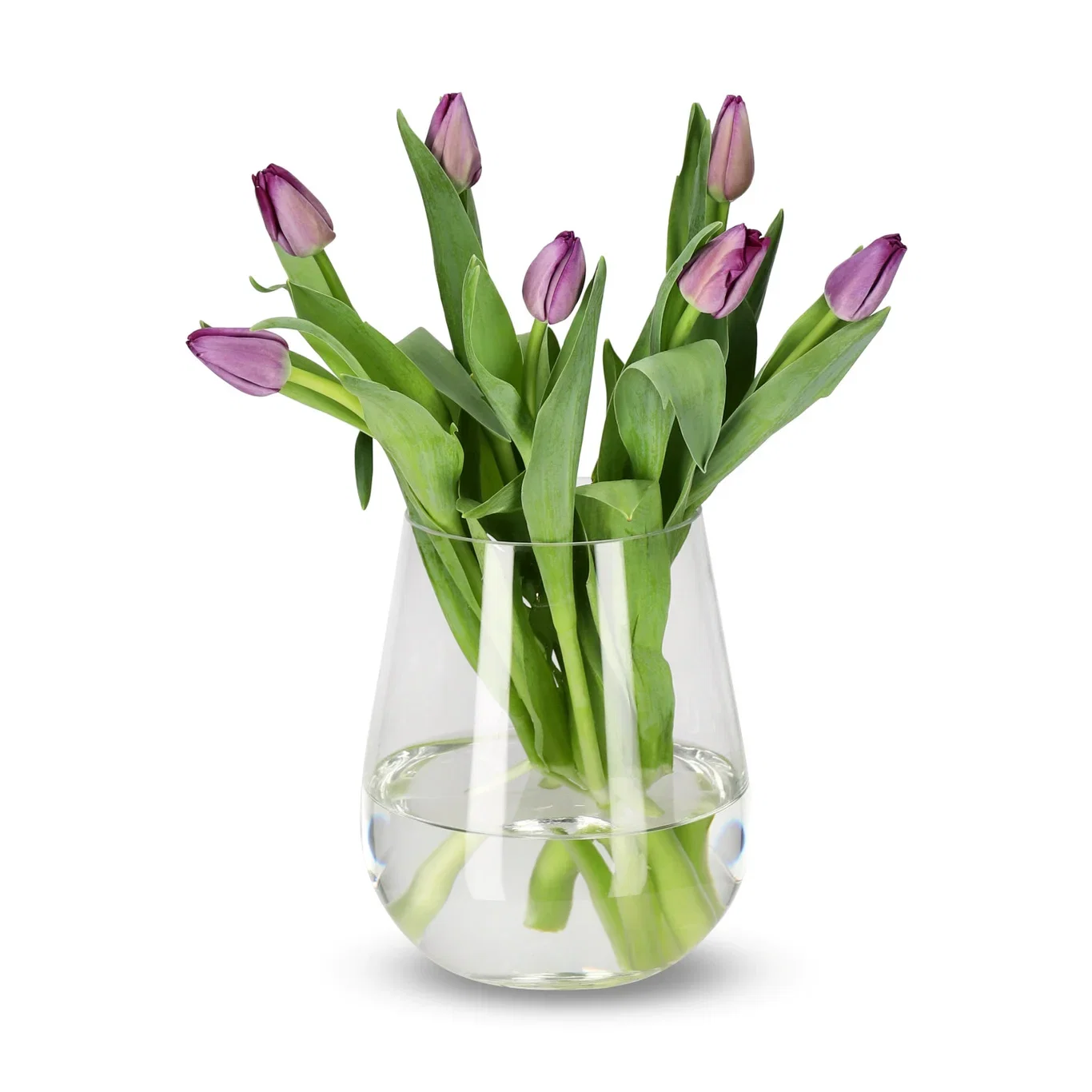 Tulipaner 7pk