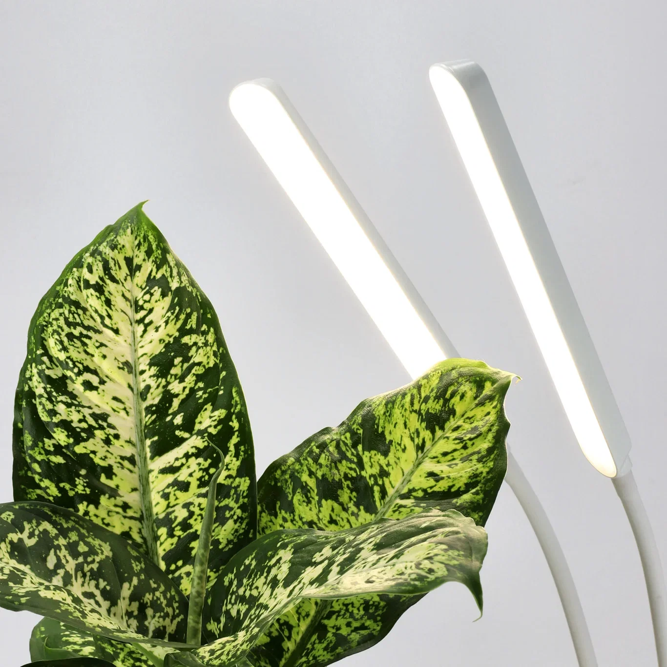 Plantelys LED 16W Apollo