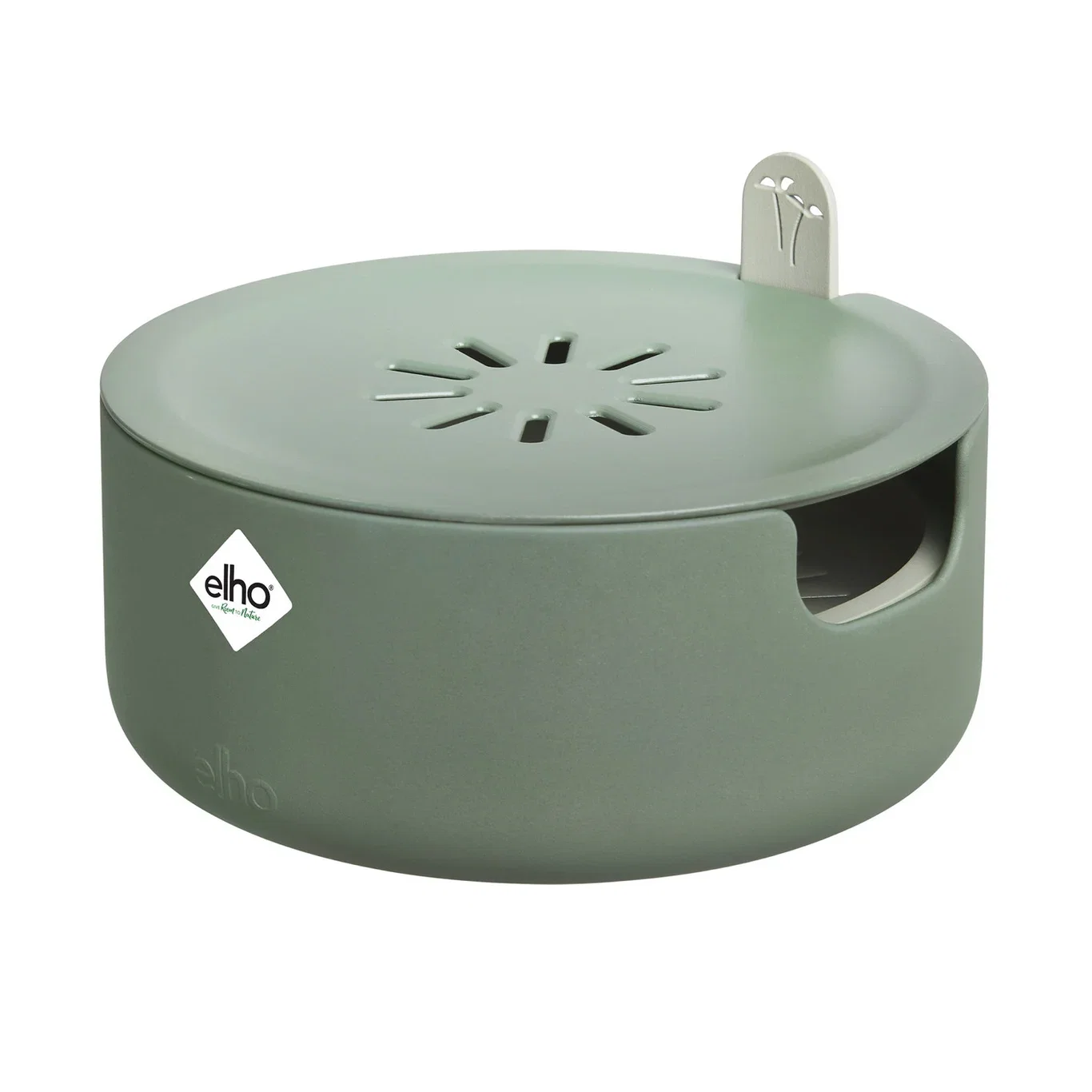 Spireskål Magic microgreens