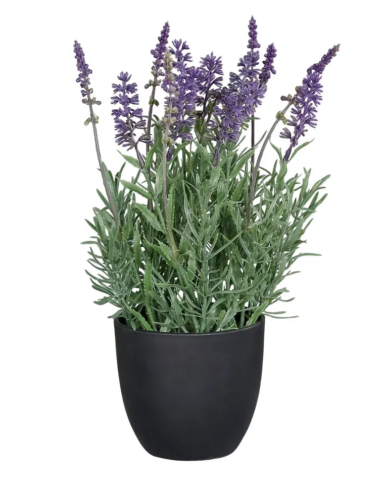 Lavendel i potte kunstig.