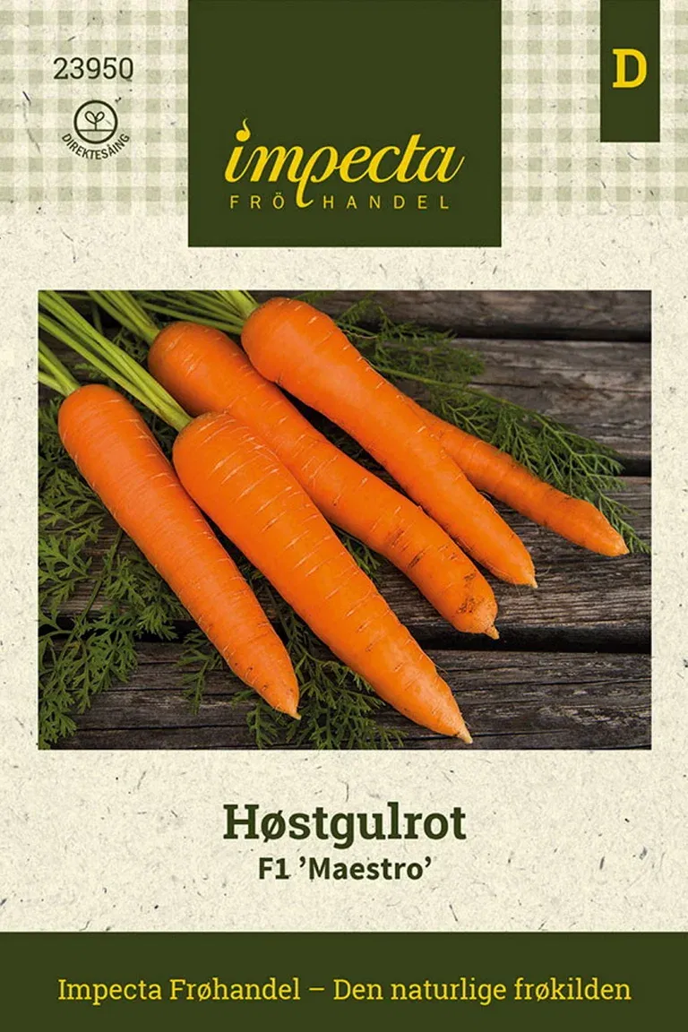 Høstgulrot F1 'Maestro'